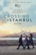 Crossing Istanbul